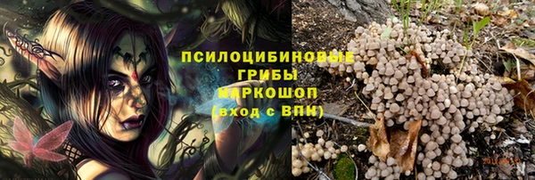 гашик Абаза