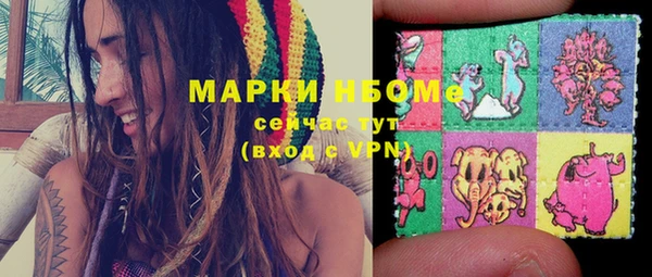 Альфа ПВП Няндома