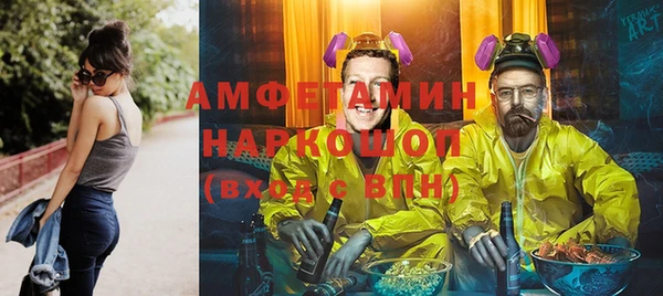 мет Алексин